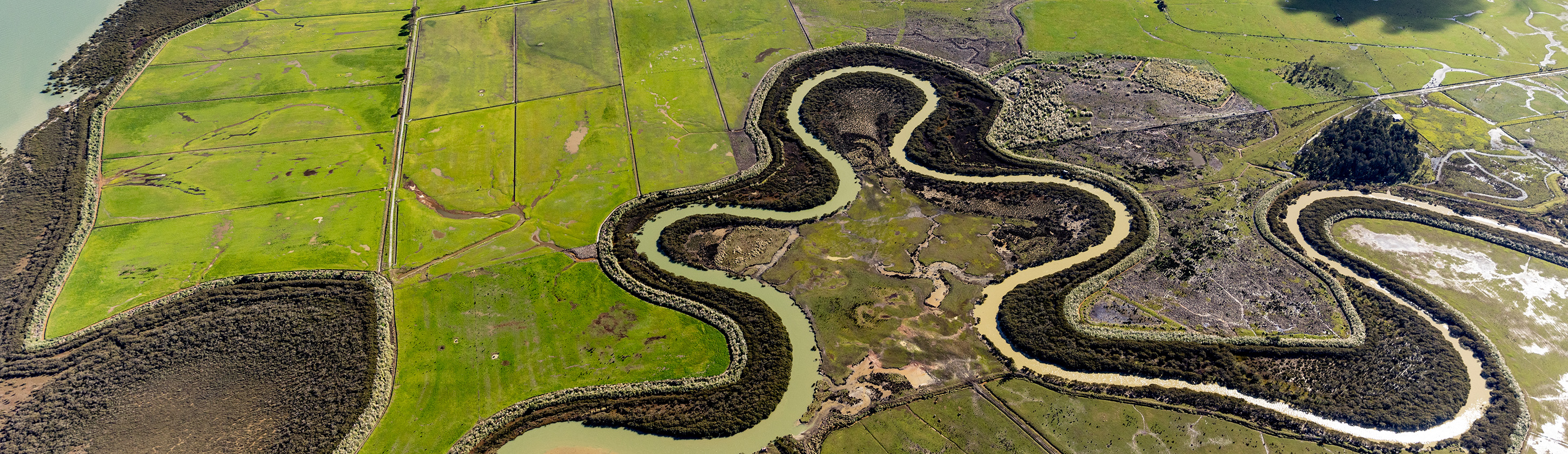 Aerial view showing part of the Kaipara District. You can see the tension between nature, farming and the conservation work carried out by locals. The Arapārera River winds through lush green pasture. Intensive planting and mangroves growing along its edges stop sediment and nutrient-rich run-off entering the waterway. The unique  pattern created by the river shows the beauty of a natural system, allowed to flow without human interference.