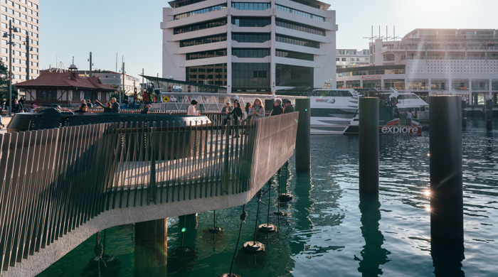 People are standing on the wharf area above the water where ropes hang beneath attached to columns of mussels beneath the water.