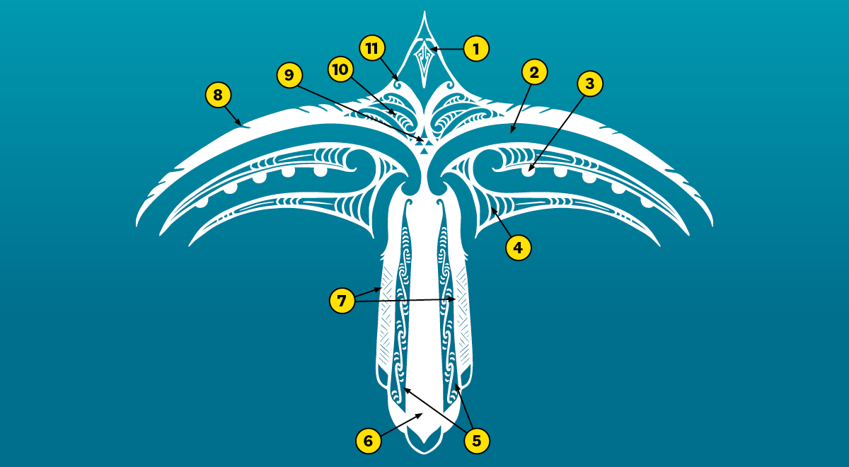 An illustration of a bird with its wings spread with numbered arrows pointing to different design elements.