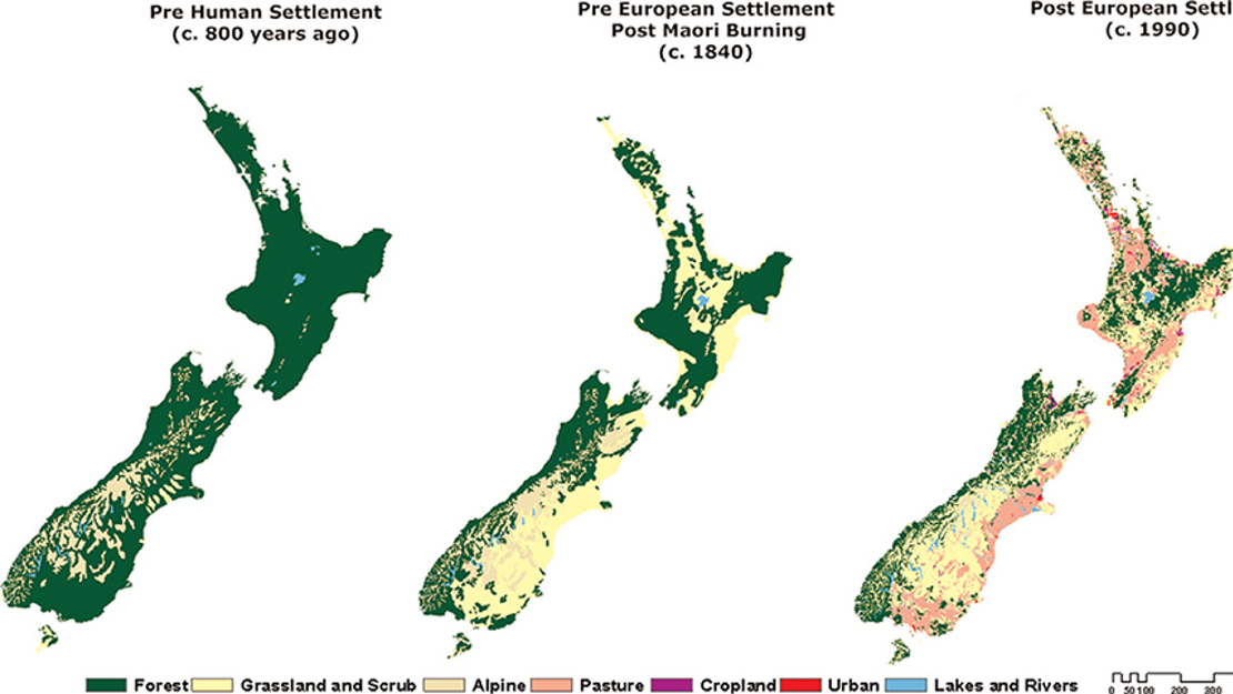 NZ Land cover change as a result of human occupation from 1280 AD to the present day.