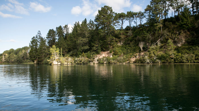 A view of the Waikato awa (river) across the water with the reflections of the bushes and trees on the bank in the distance, reflected in the water.