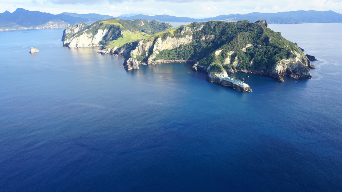 The eastern side of Rakitu Island. 